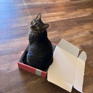 Meet your Posher, Roxanne